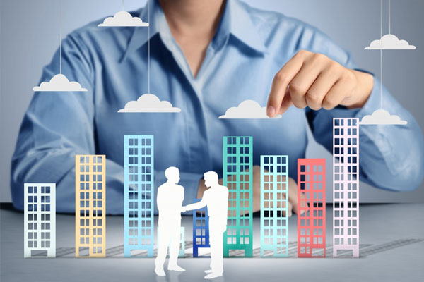 GUIDANCE ON PROCEDURES FOR ESTABLISHMENT OF A LIMITED LIABILITY COMPANY