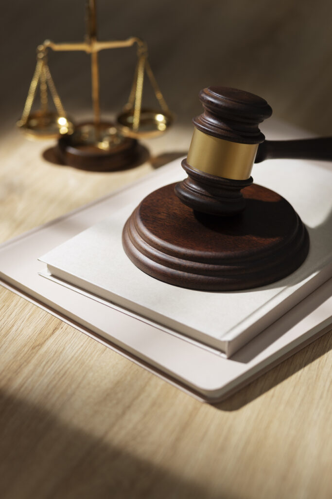 LABOR SERVICES AND SOCIAL INSURANCE (SOCIAL INSURANCE) 